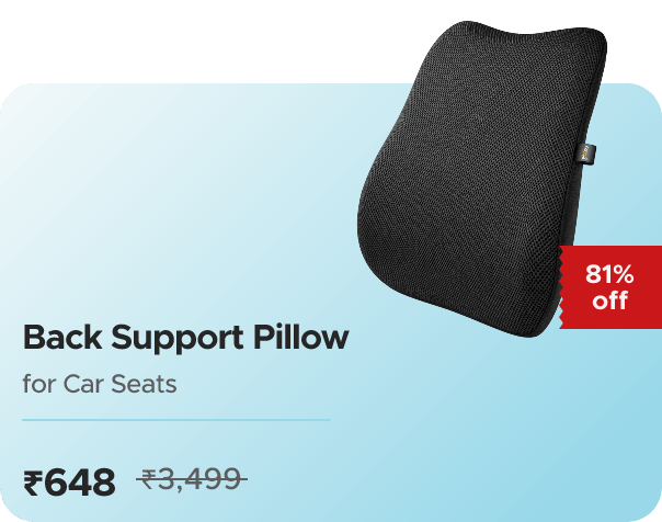 Nippon Paint FX 10 FX10 Car Seat Lumbar Support Cushion, Ba — effective ₹648 (was ₹3499)